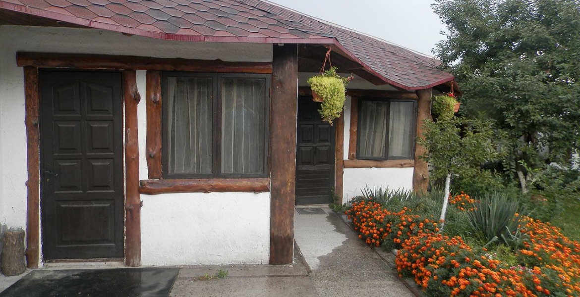 A house under the grapes 